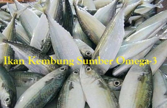 Ikan Kembung Sumber Omega-3